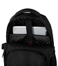 Morral Palomino - Miniatura 9