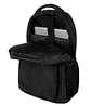 Morral Palomino - Miniatura 10