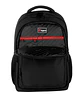 Morral Palomino - Miniatura 13
