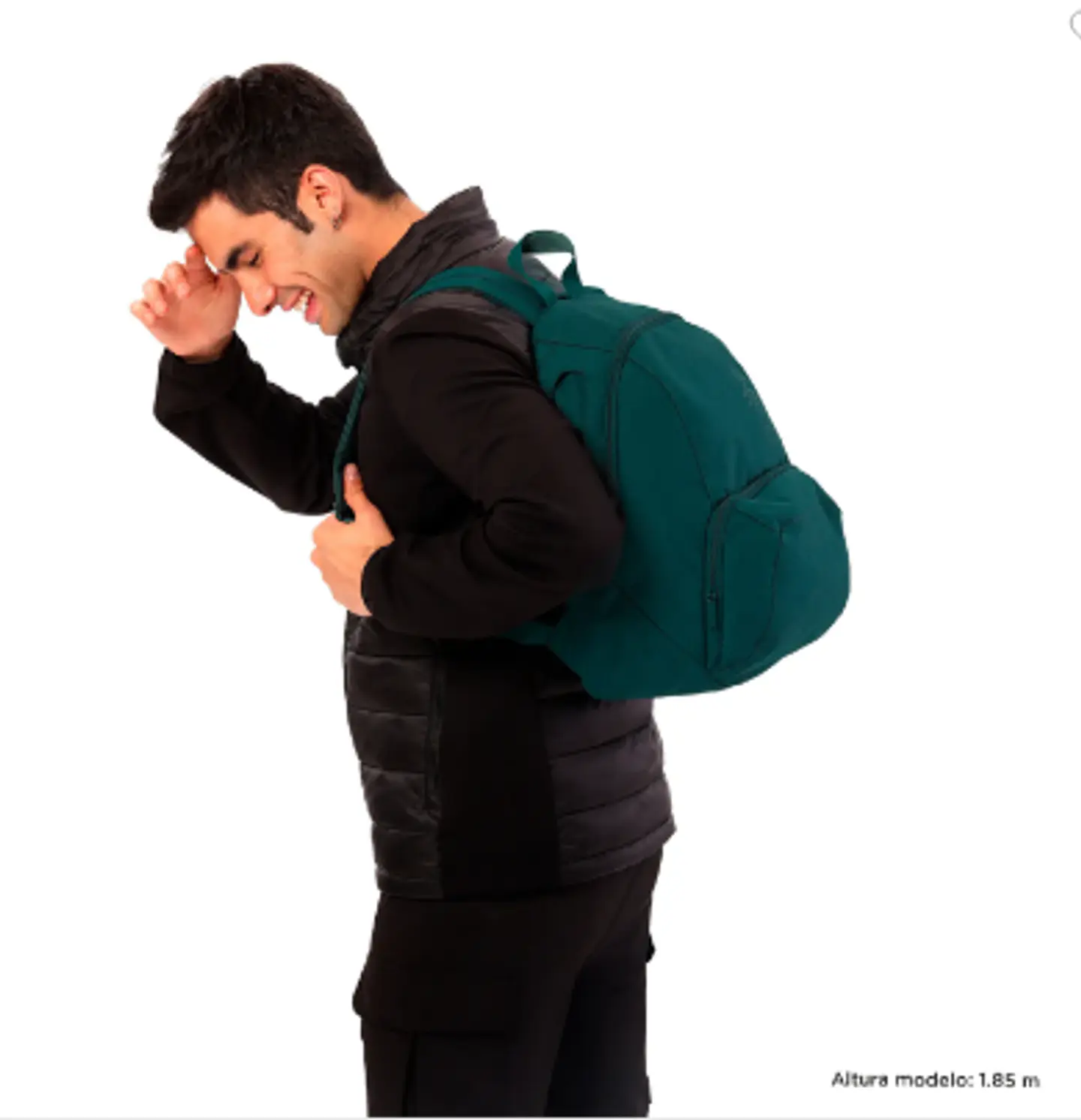 Morral Gammatto 38