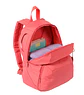 Morral Gammatto - Miniatura 49