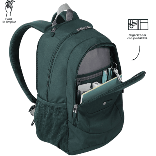 Morral Goctal