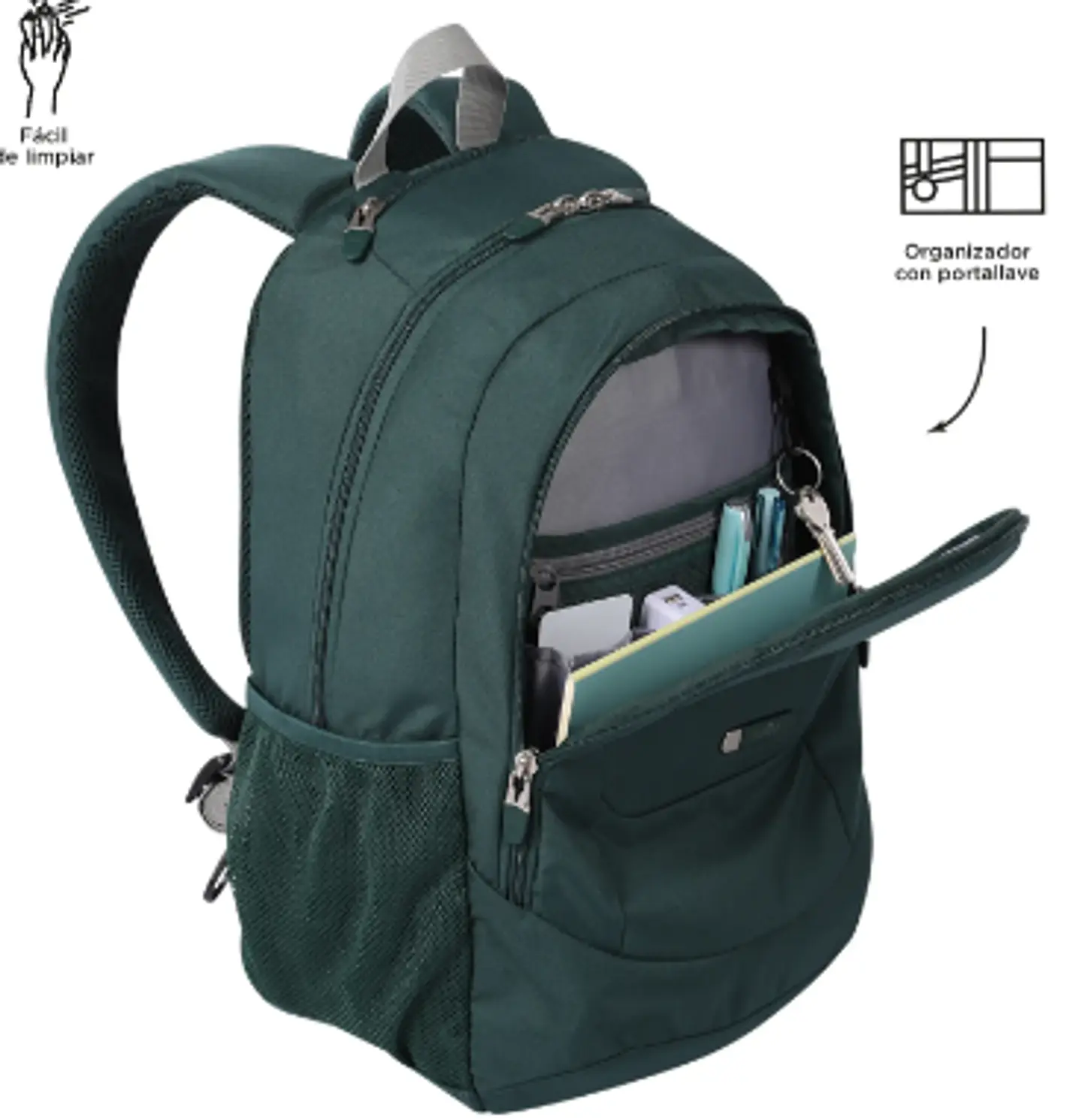 Morral Goctal 2