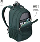 Morral Goctal - Miniatura 2