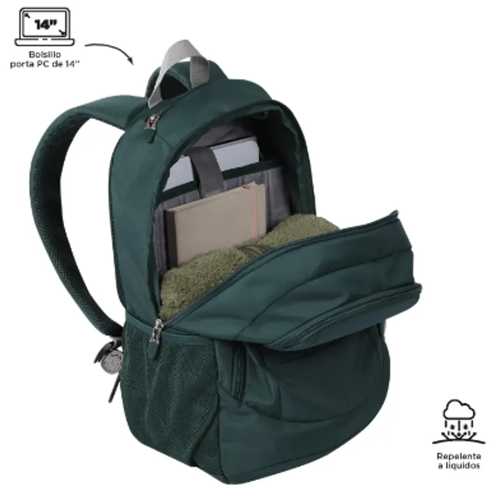 Morral Goctal 3