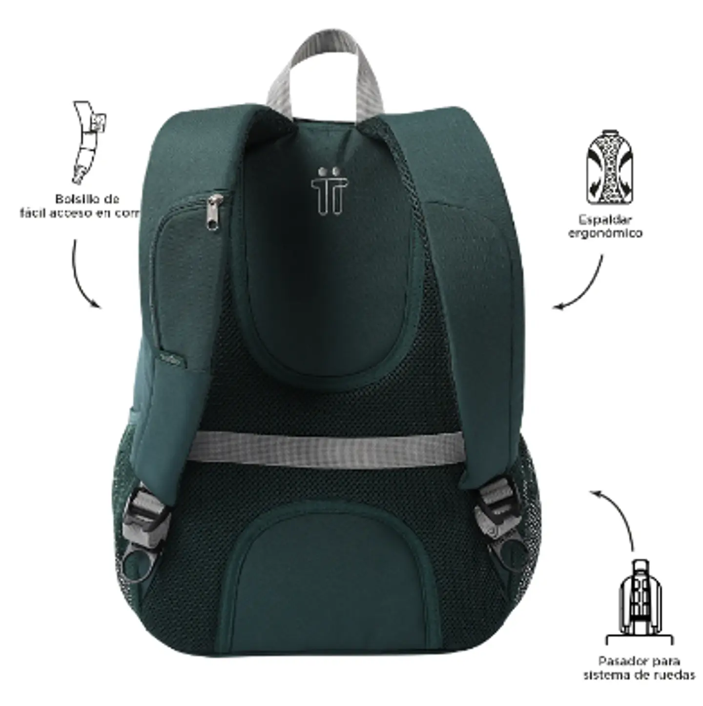Morral Goctal 4