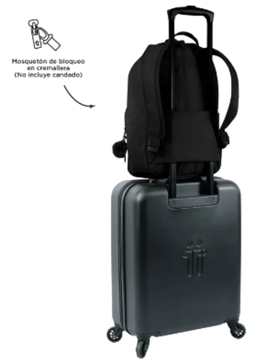 Morral Adelaide 3 2.0 15