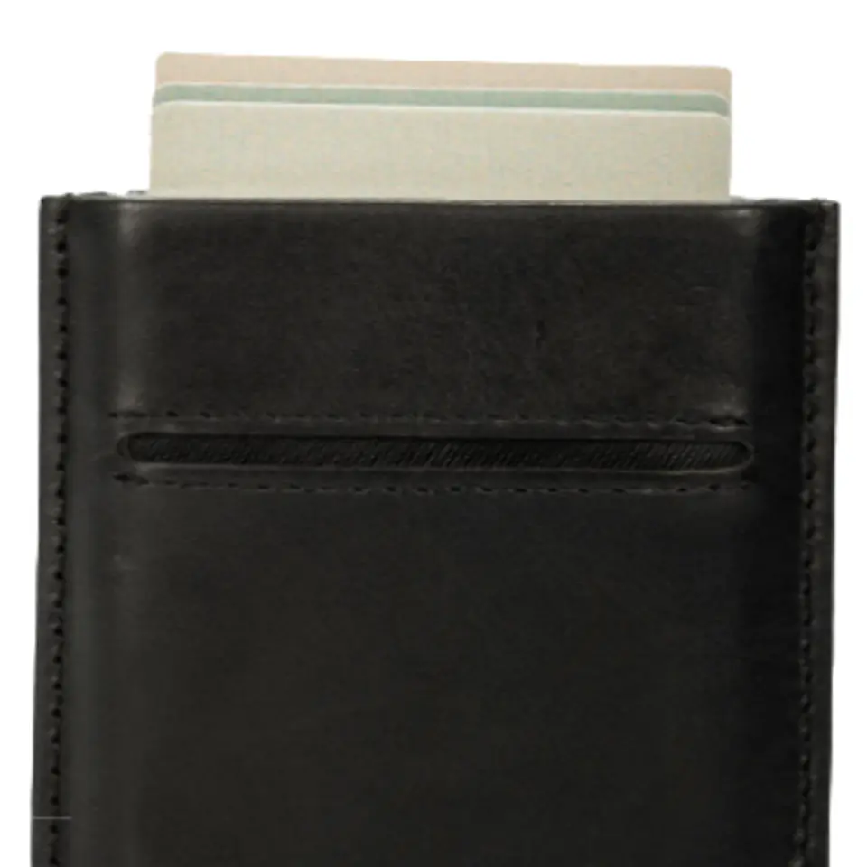 Porta Documentos Miniwallet 2