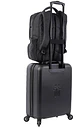 Morral Dragony - Miniatura 9