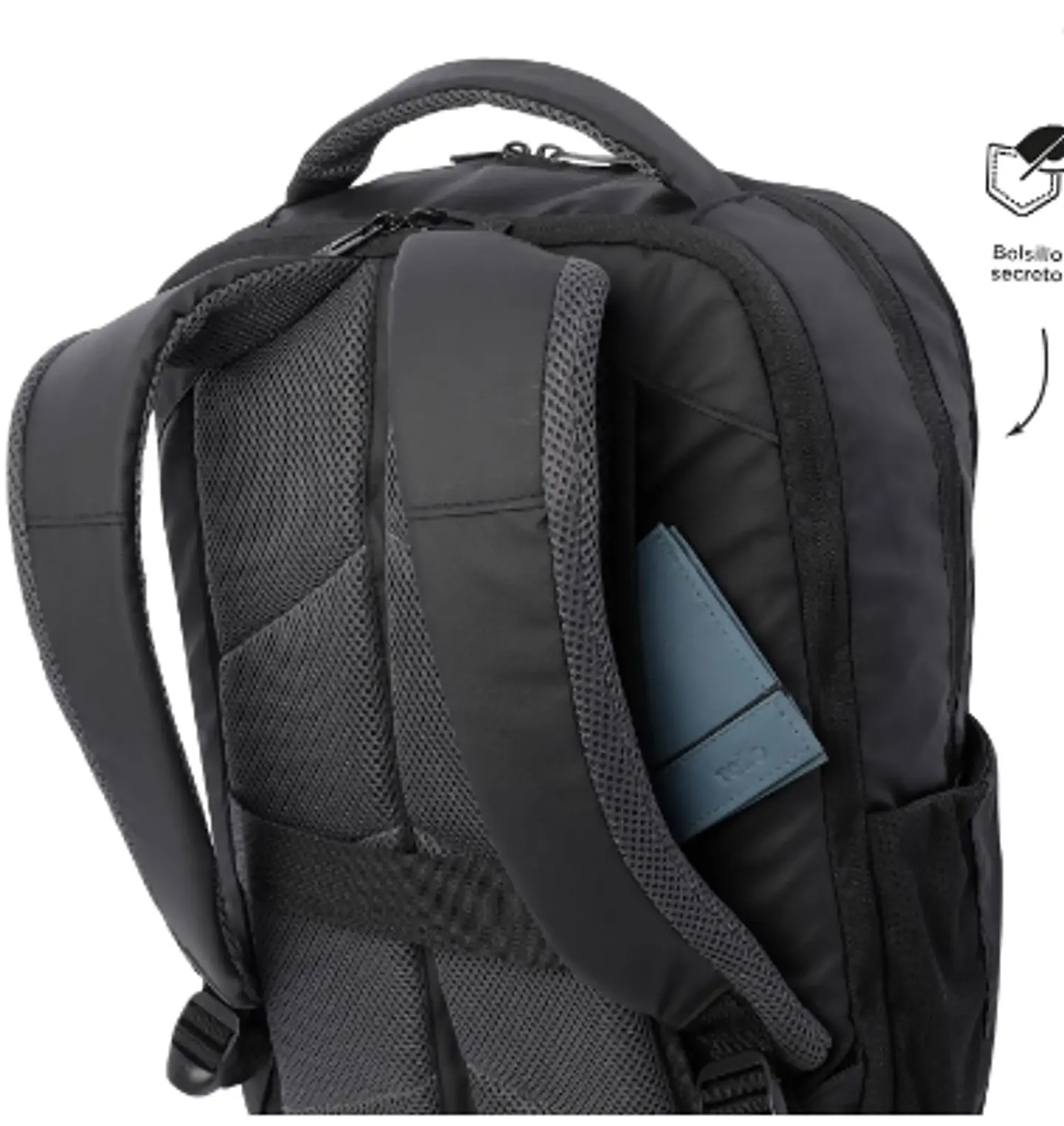 Morral Dragony 8