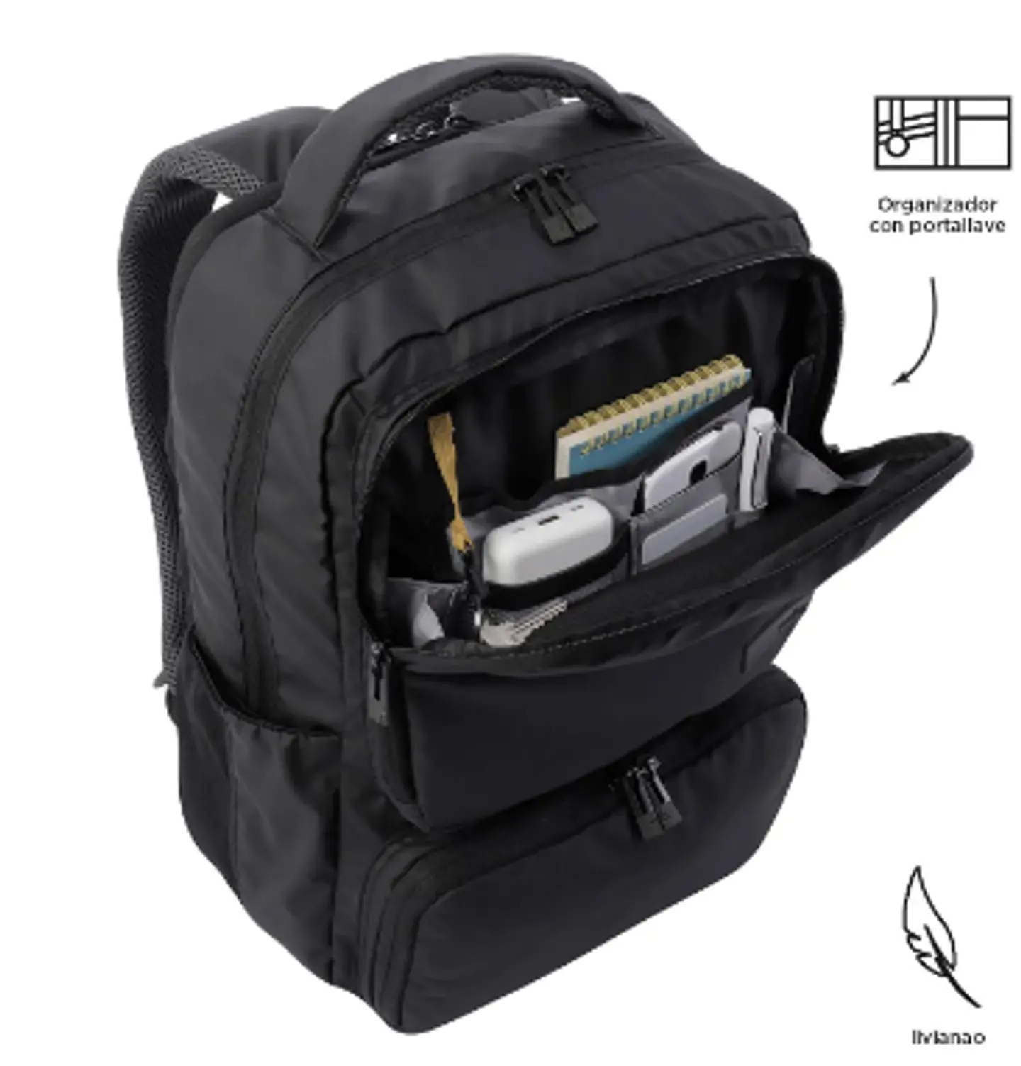 Morral Dragony 5