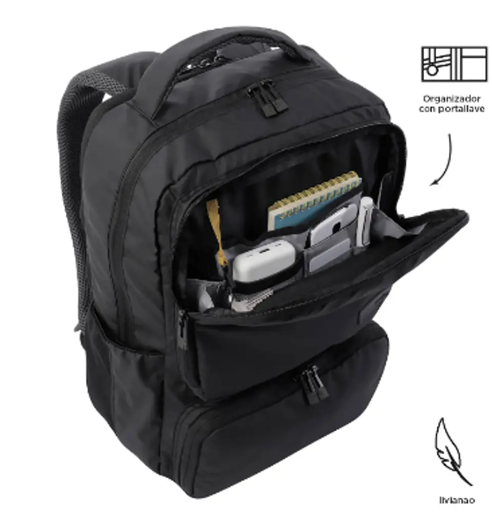 Morral Dragony 5