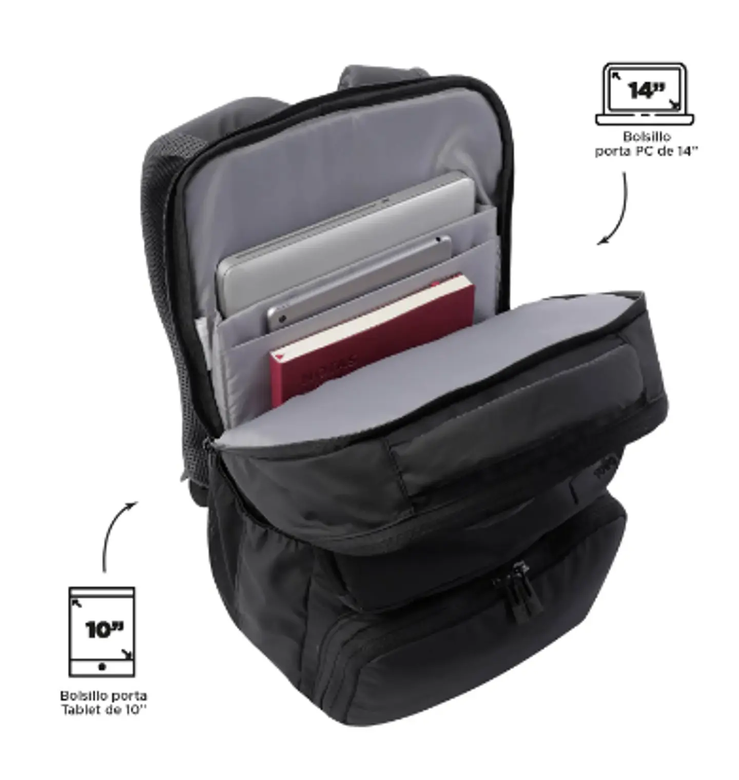 Morral Dragony 6