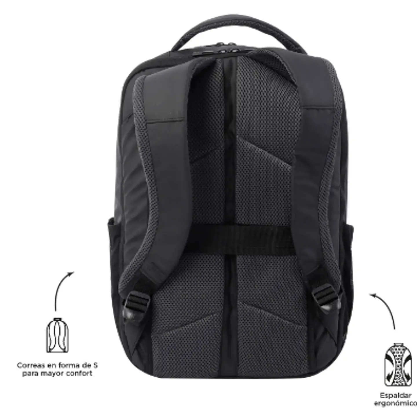 Morral Dragony 10