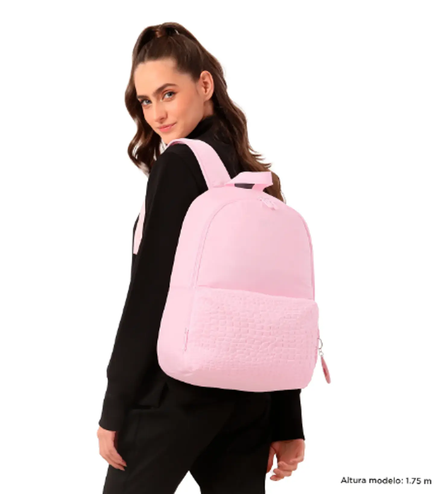 Morral Palencia 22