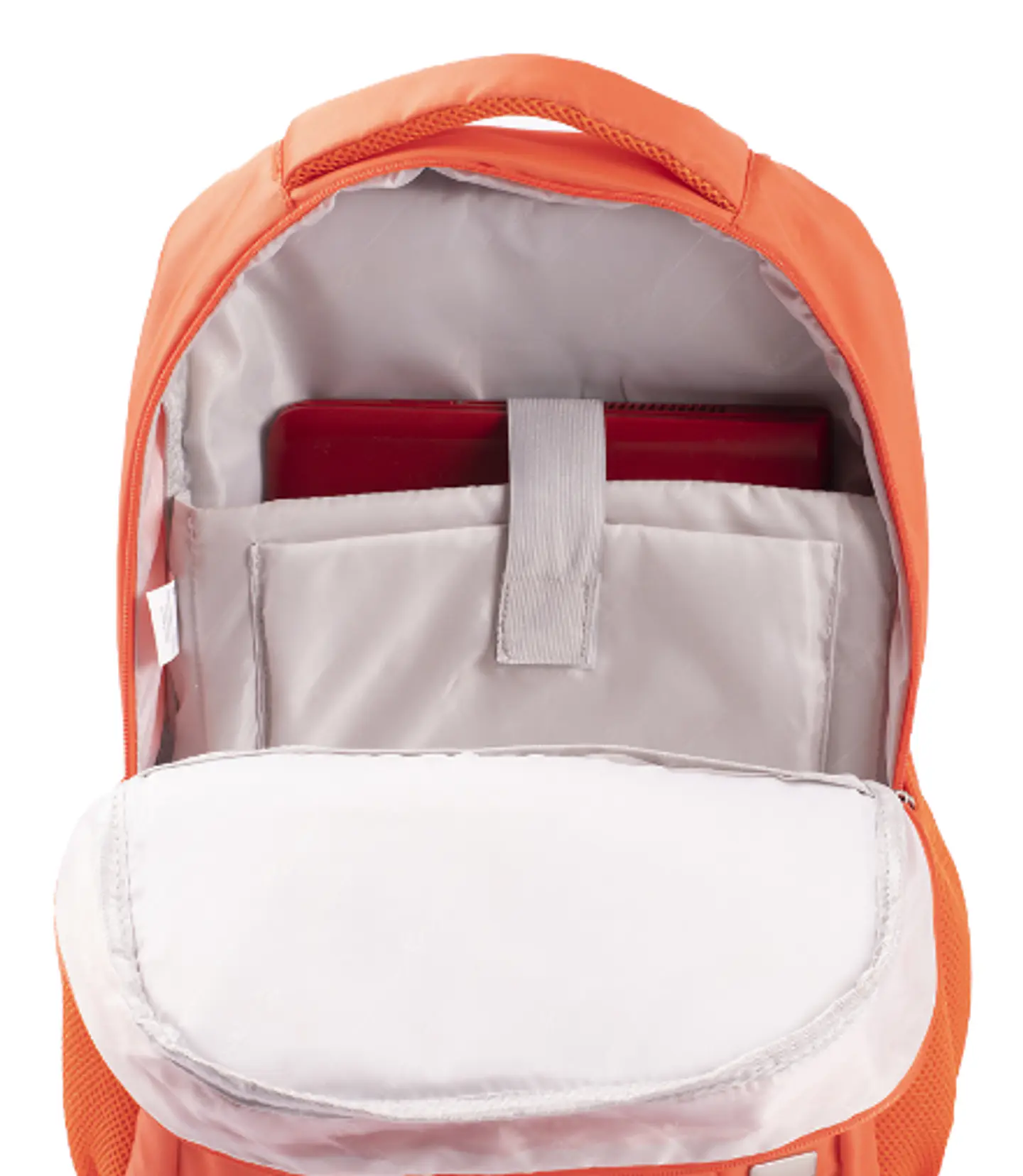 Morral Turin 23