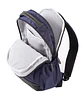 Morral Antares  - Miniatura 3
