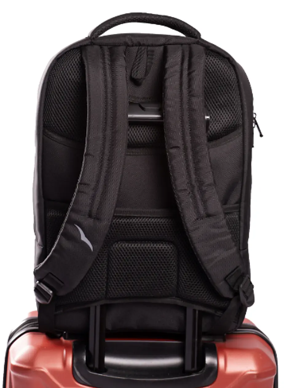 Morral Atria 3