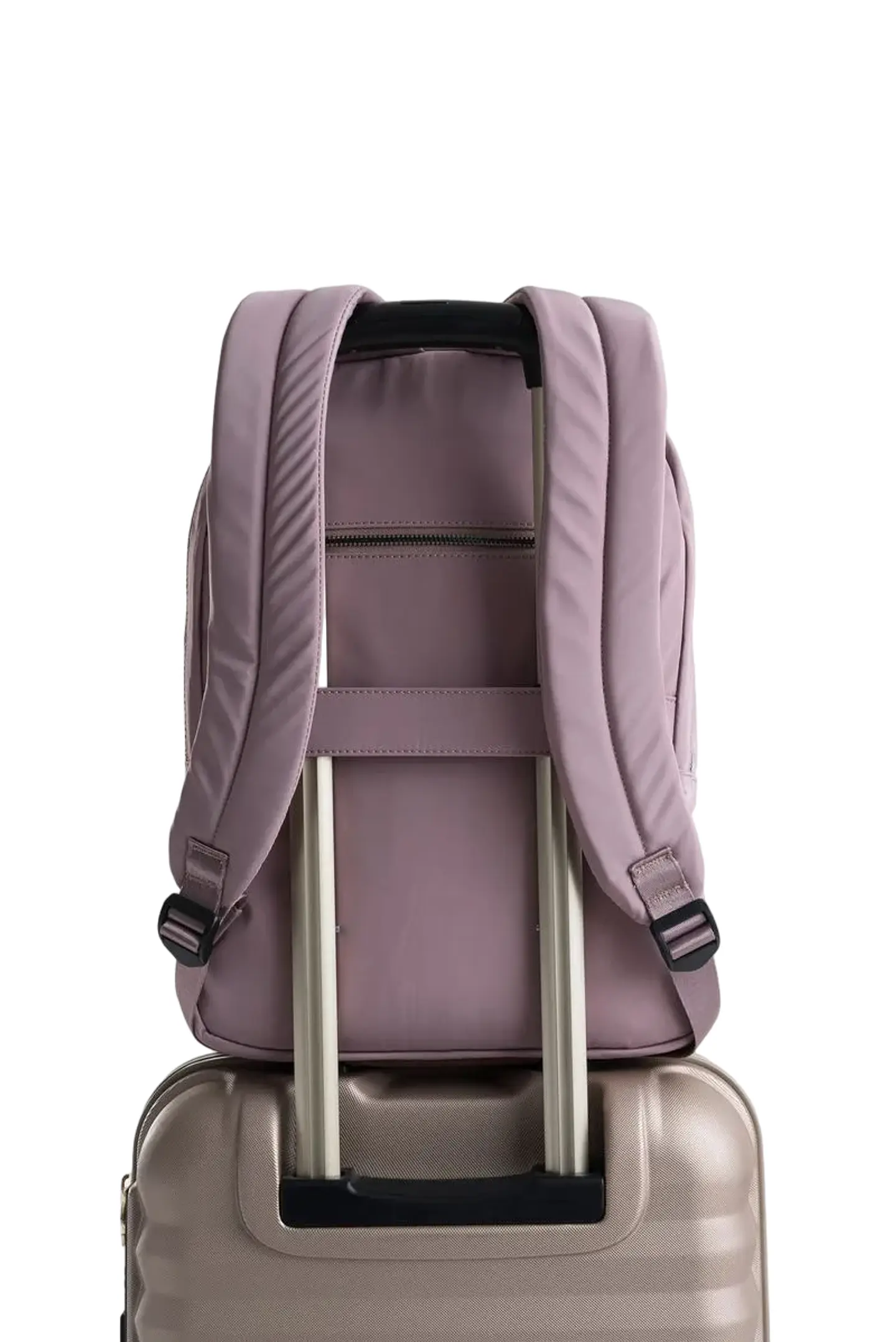 Morral  Antonia Bsc 3