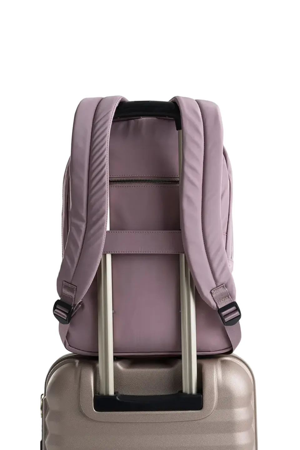 Morral  Antonia Bsc 3