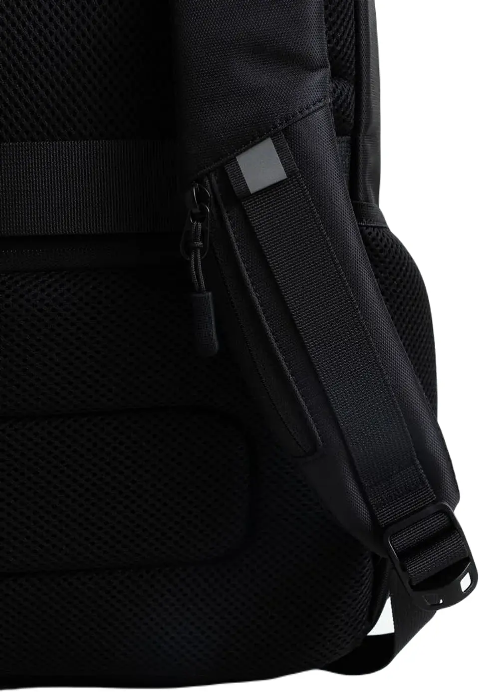 Morral Williams   5