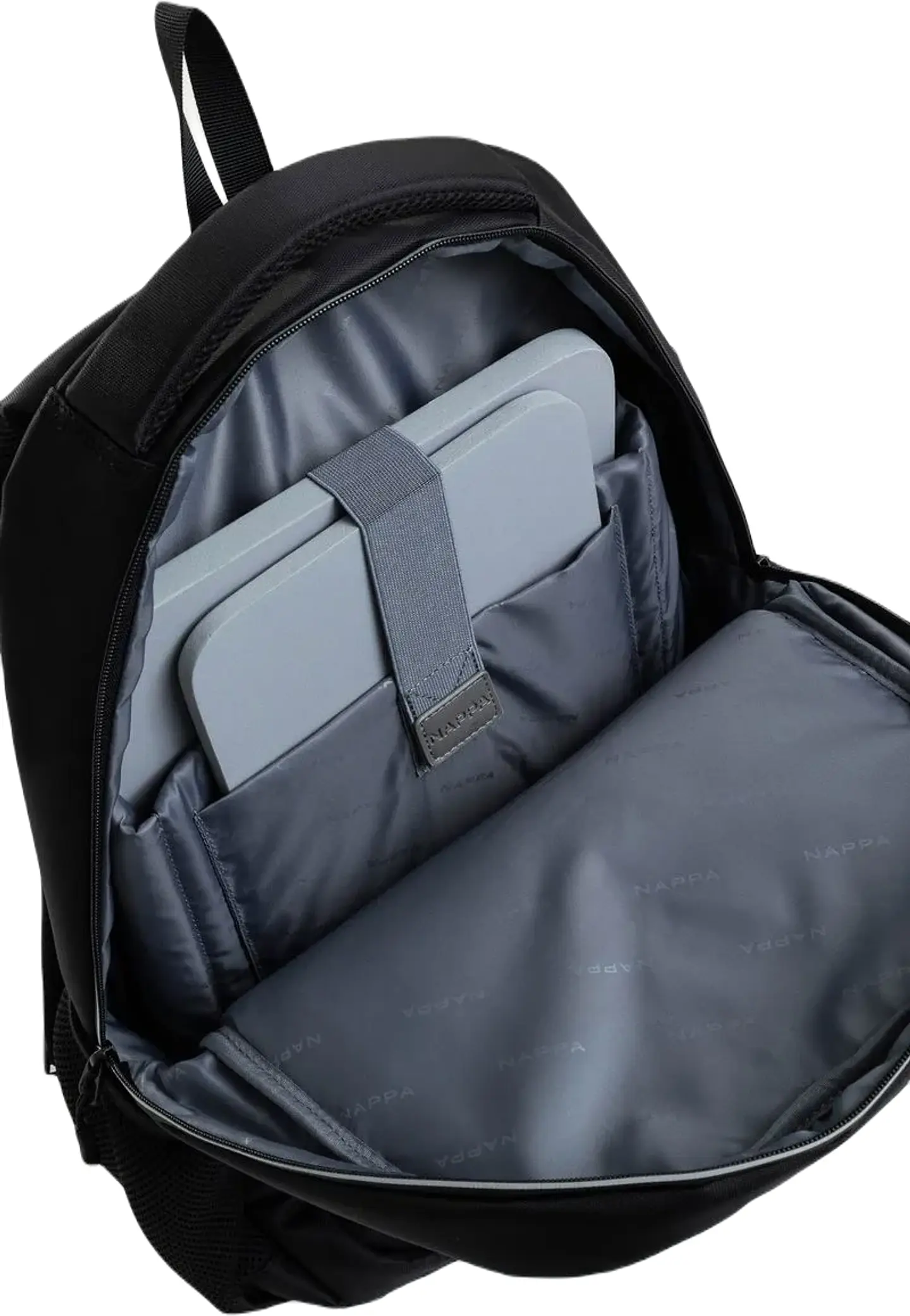 Morral Williams   6