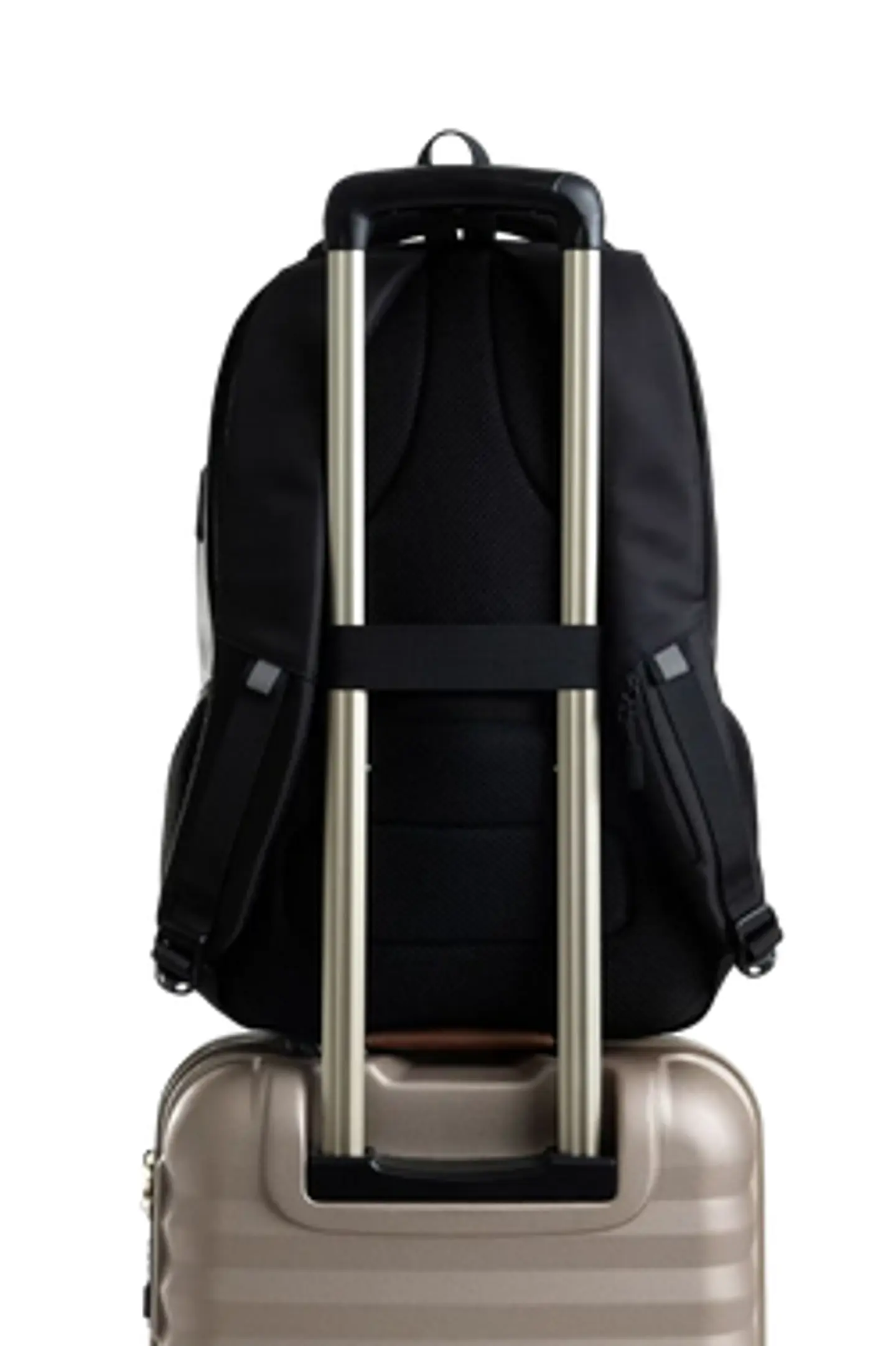 Morral Williams   3