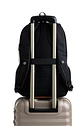 Morral Williams   - Miniatura 3
