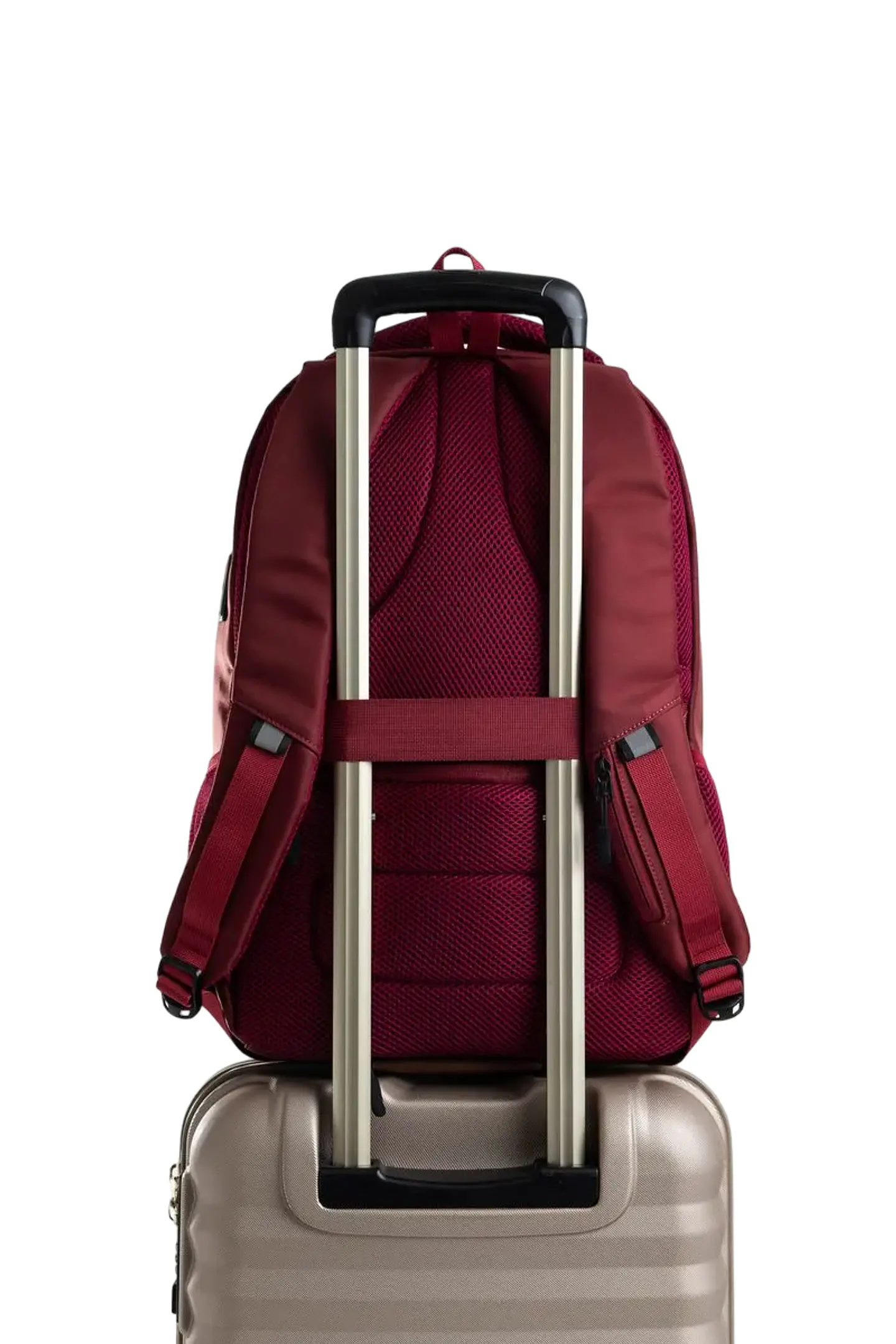 Morral Williams   9