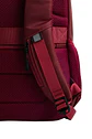 Morral Williams   - Miniatura 11