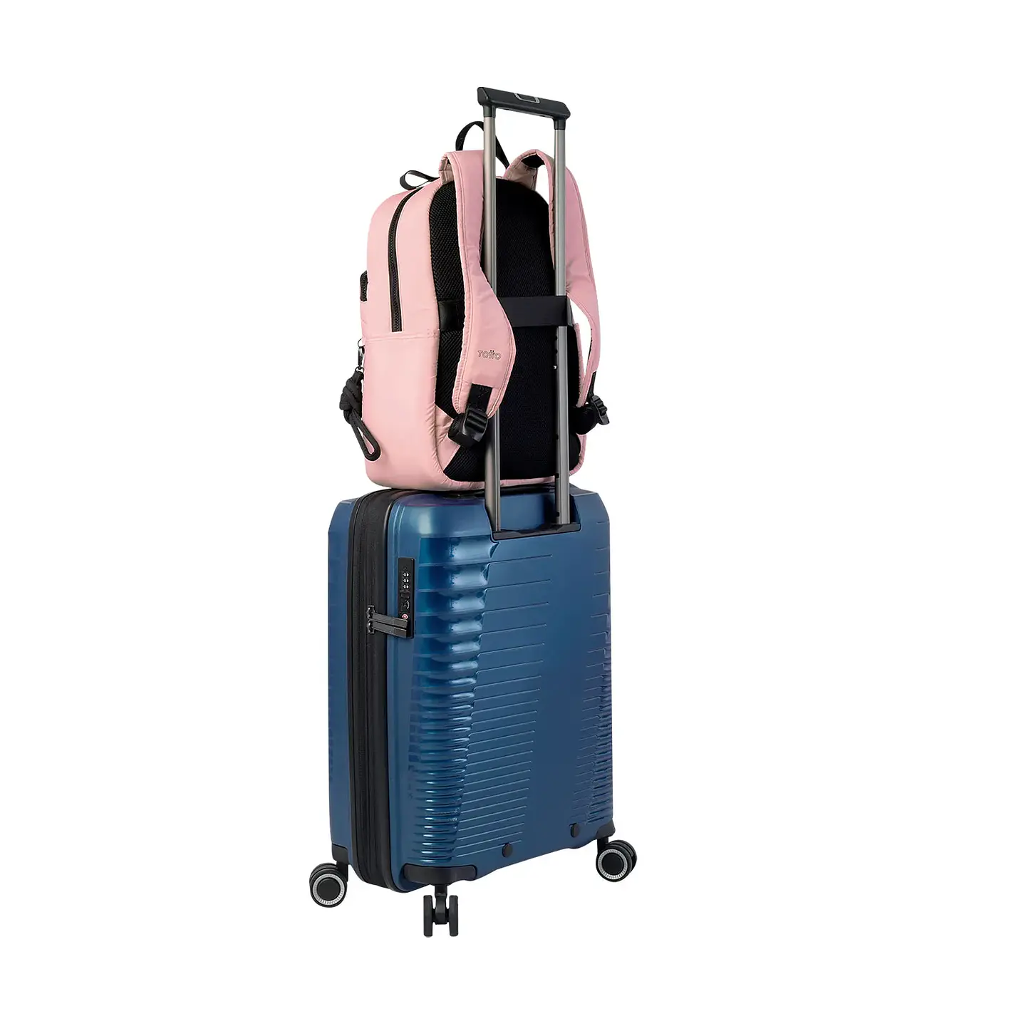 Morral Arlyn M 6