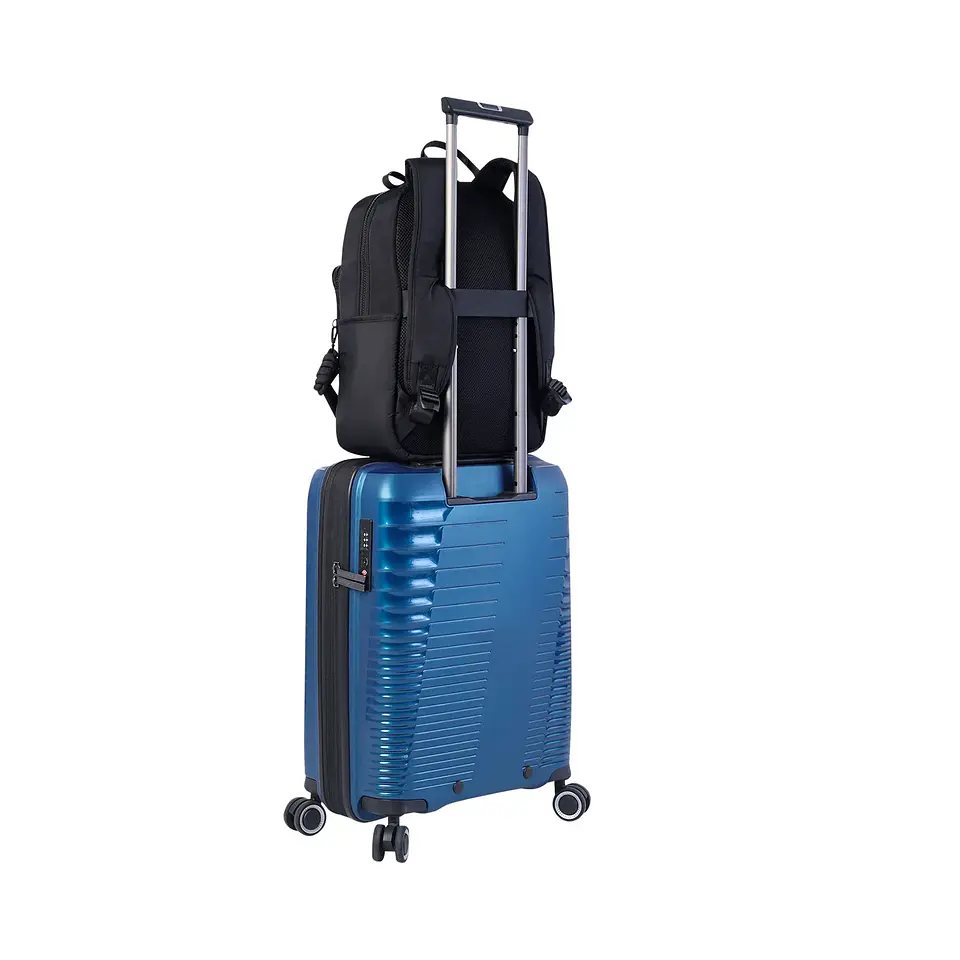 Morral Arlyn M 12