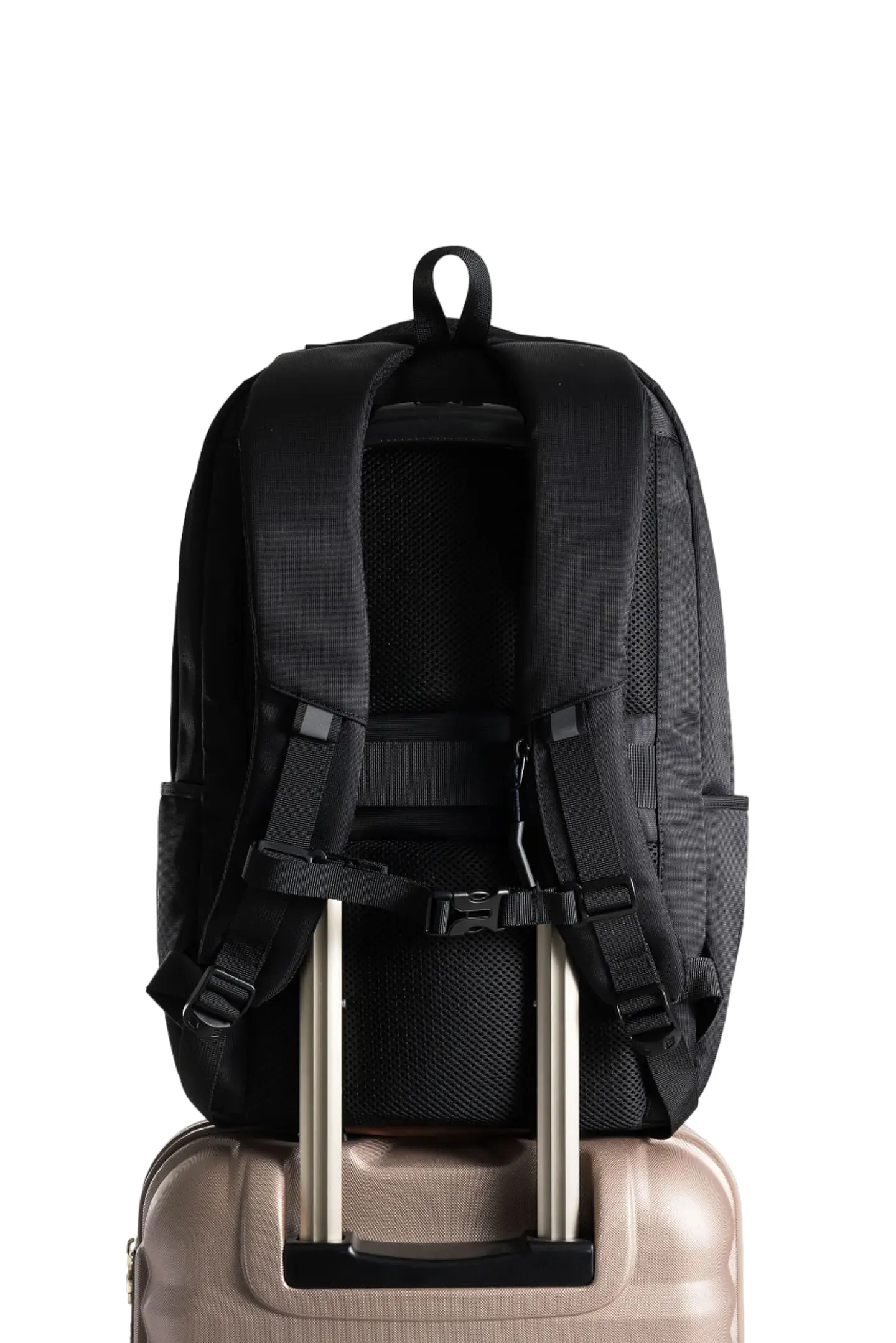 MORRAL  FIN VIT 3