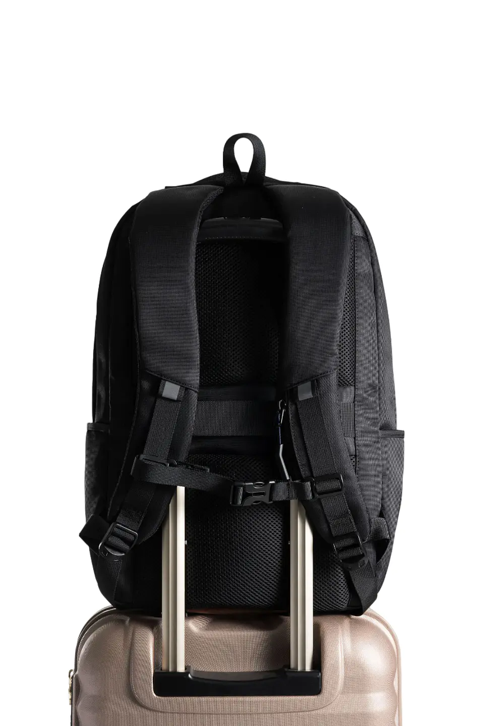 MORRAL  FIN VIT 3