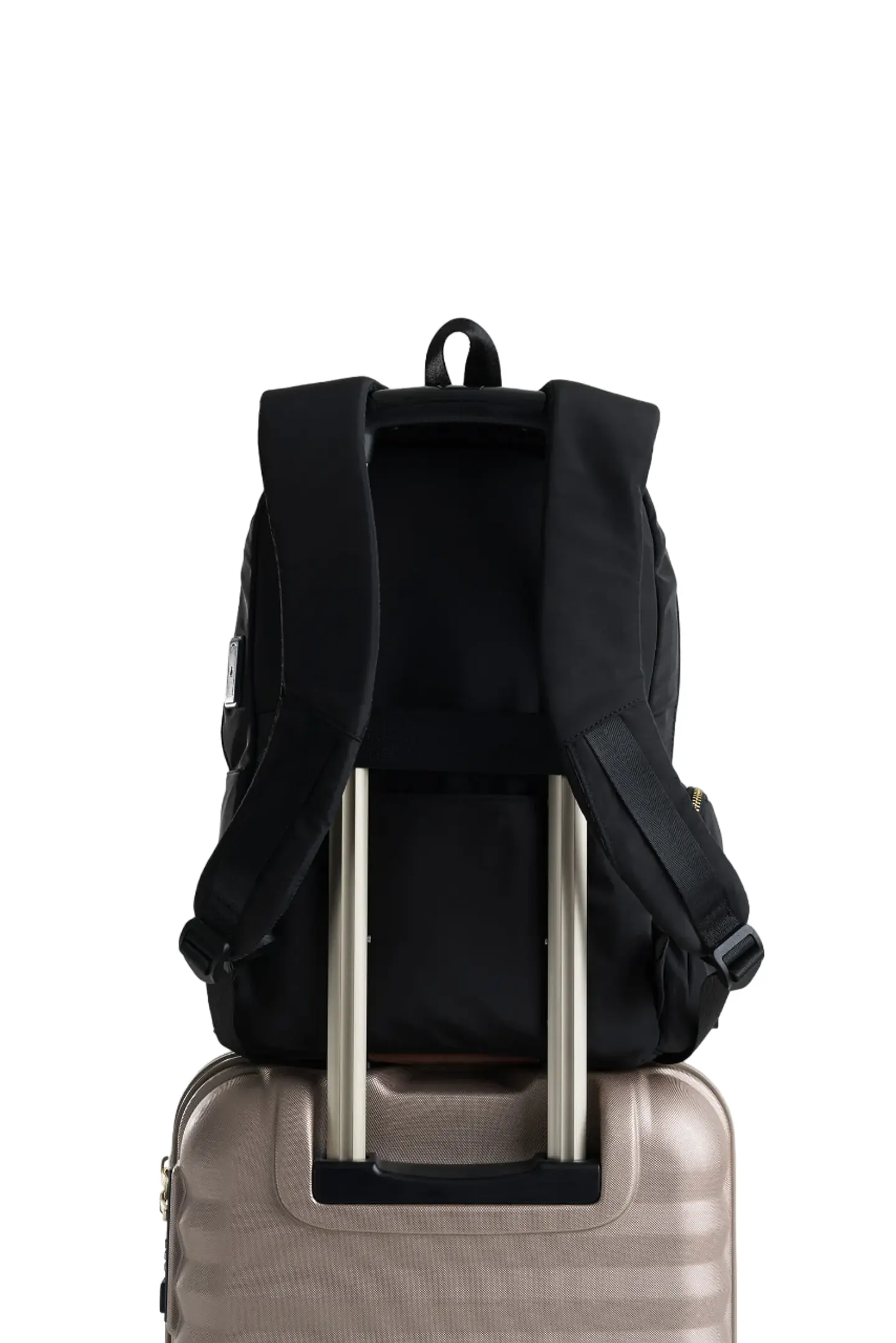 MORRAL SHAY 3