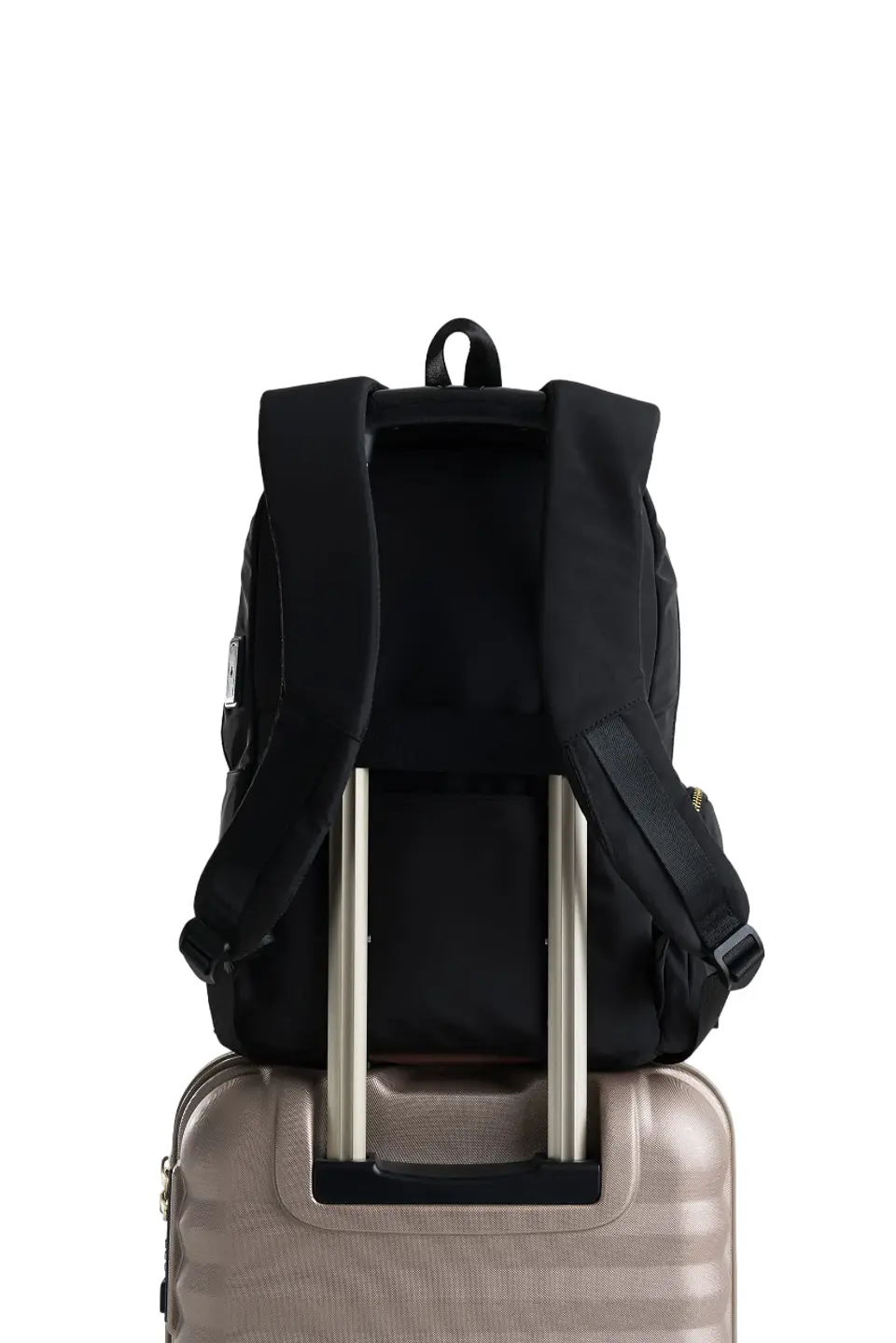 MORRAL SHAY 3