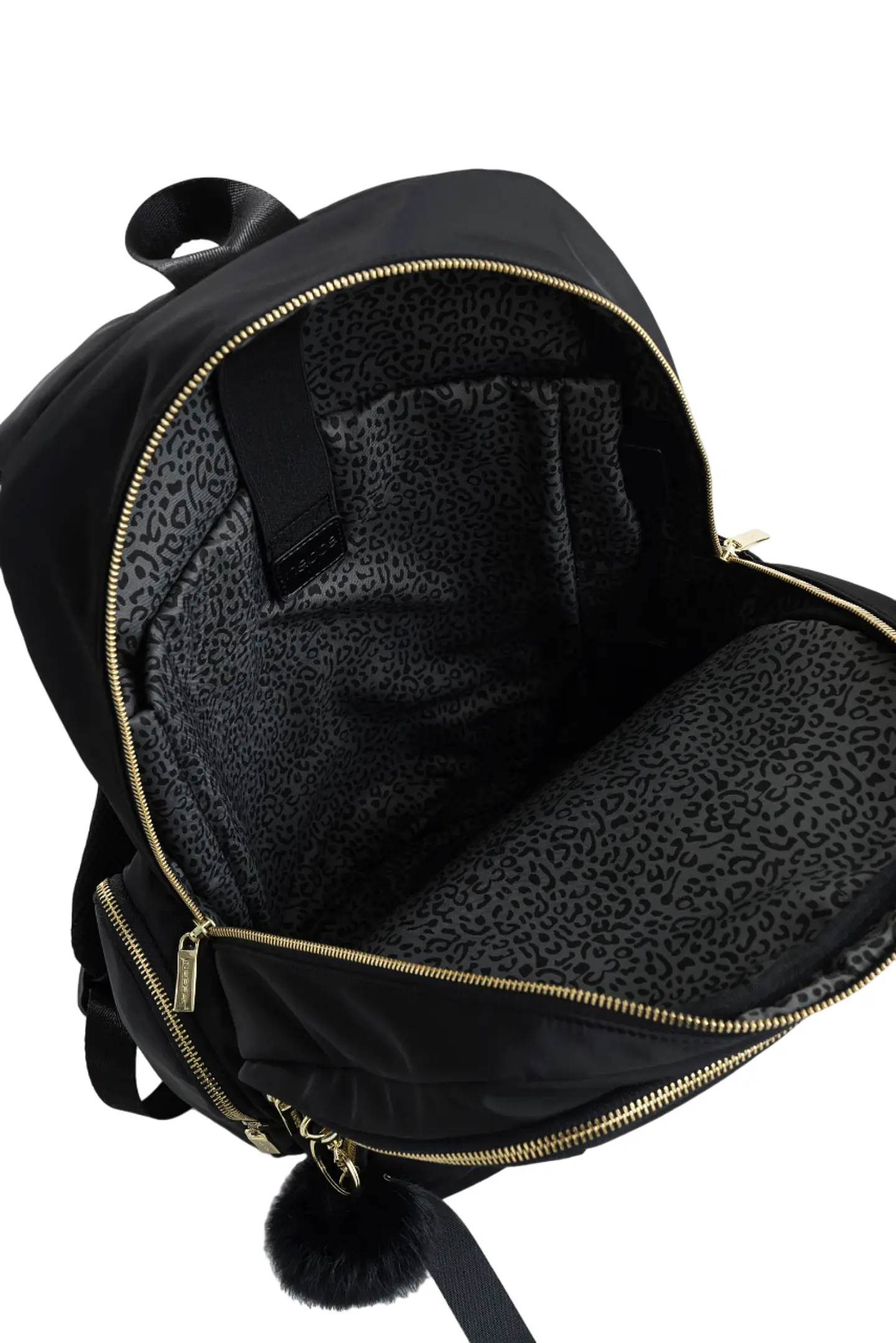 MORRAL SHAY 4