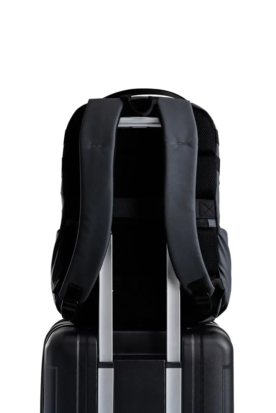MORRAL MELLOW 3