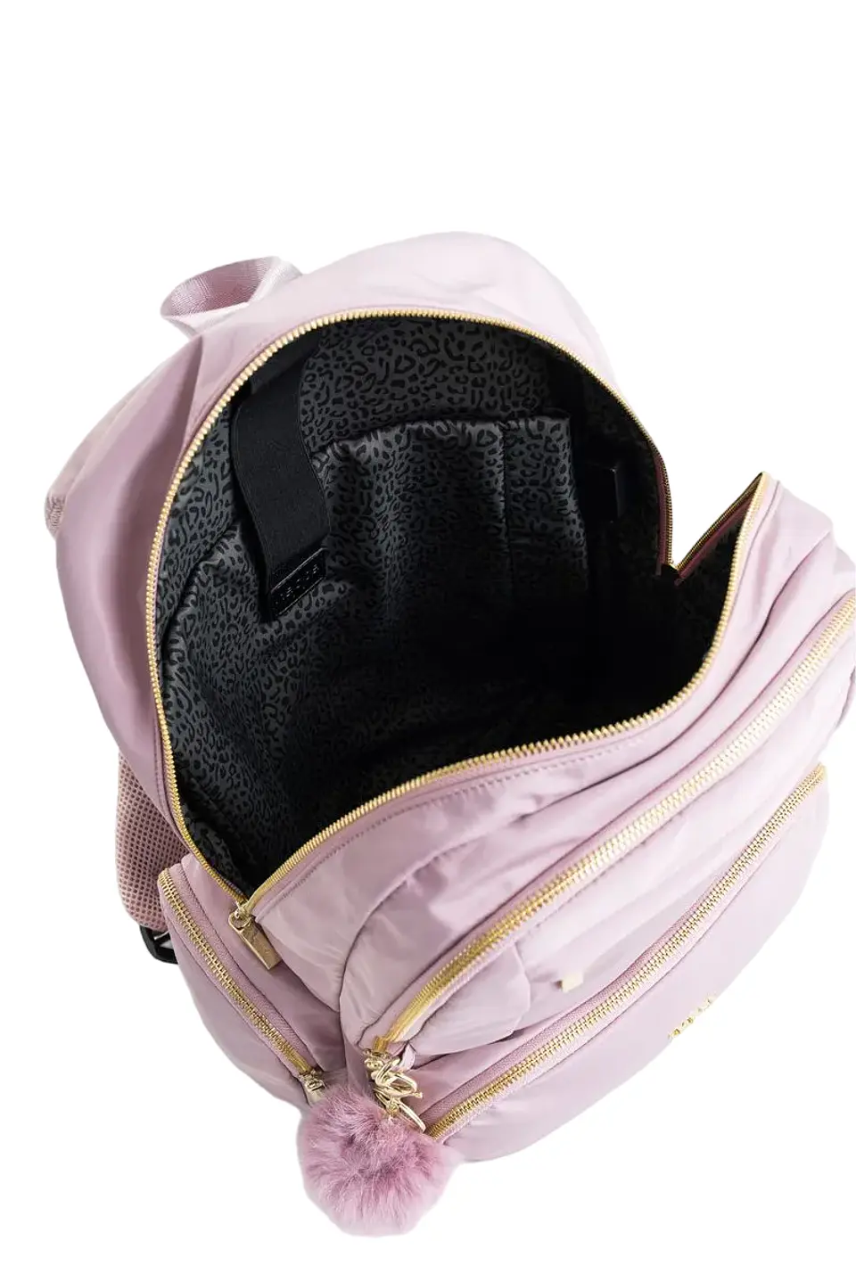 MORRAL SHAY 7