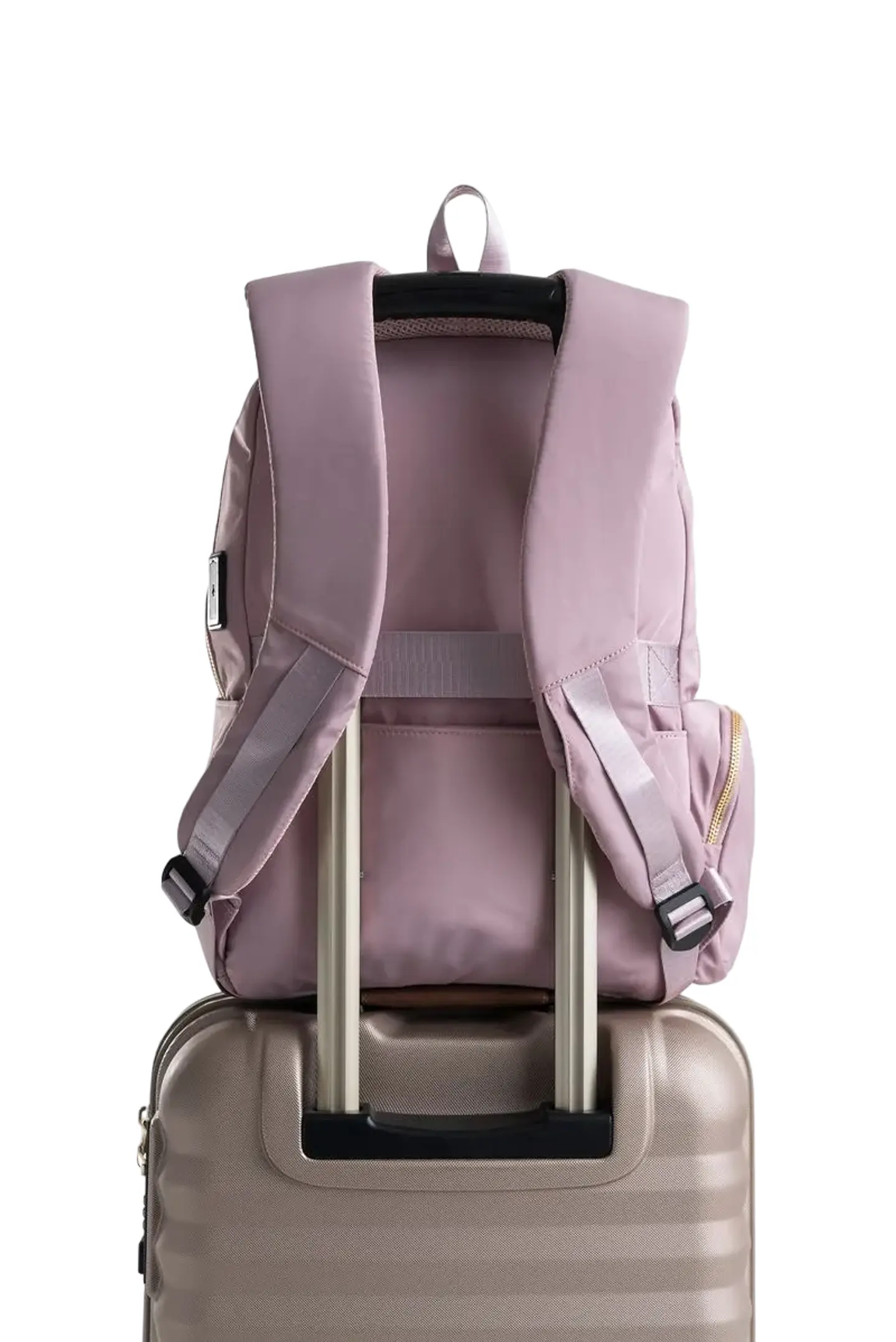 MORRAL SHAY 8