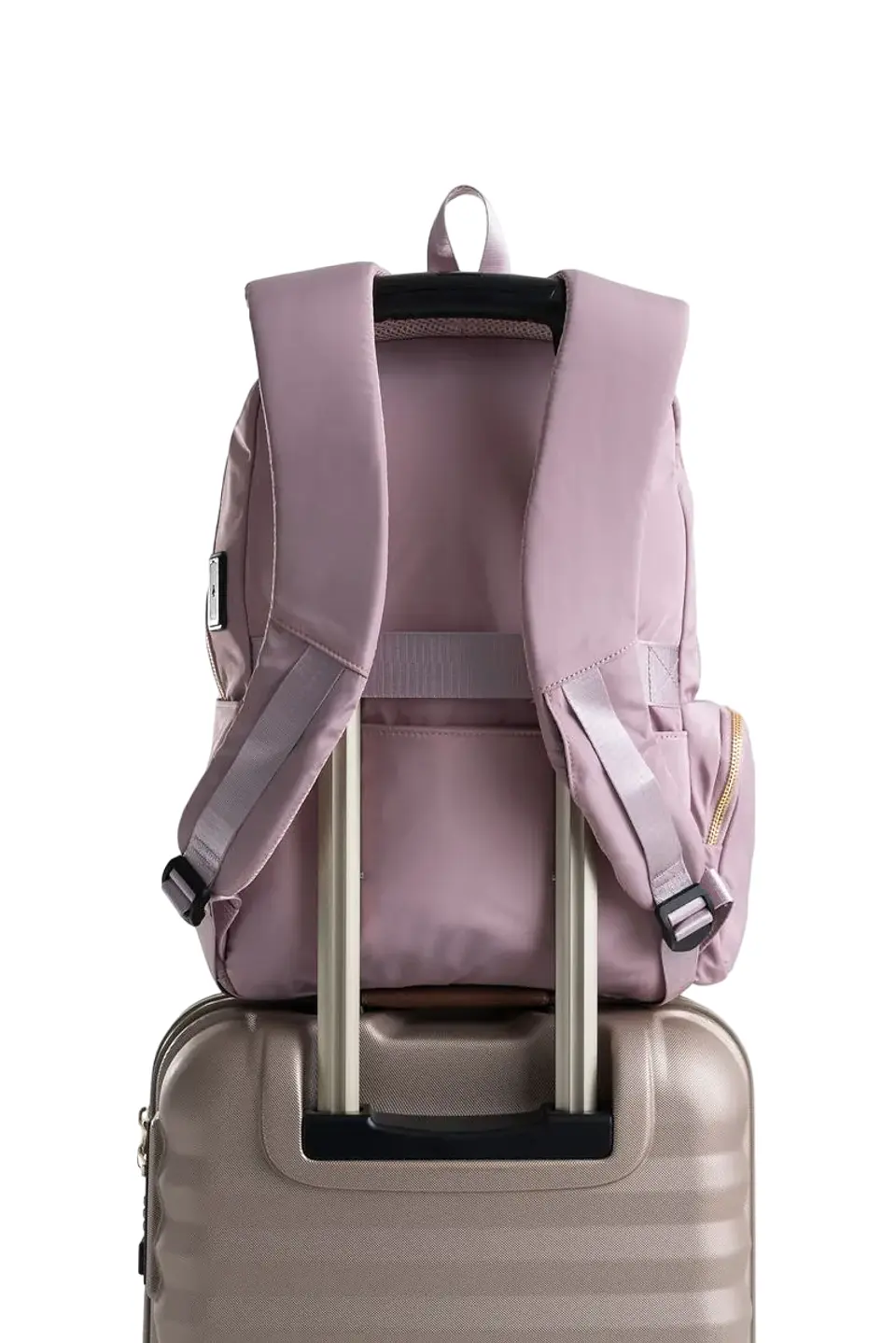 MORRAL SHAY 8