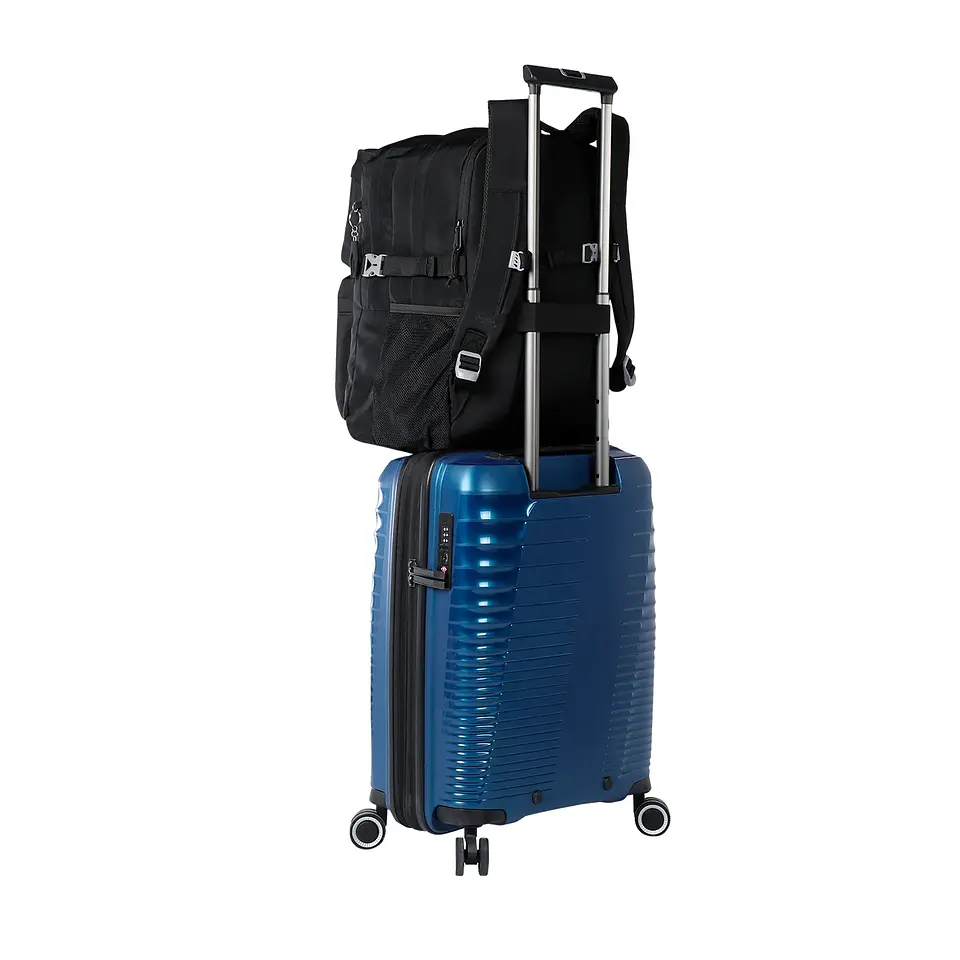 Morral Molyk Totto 5