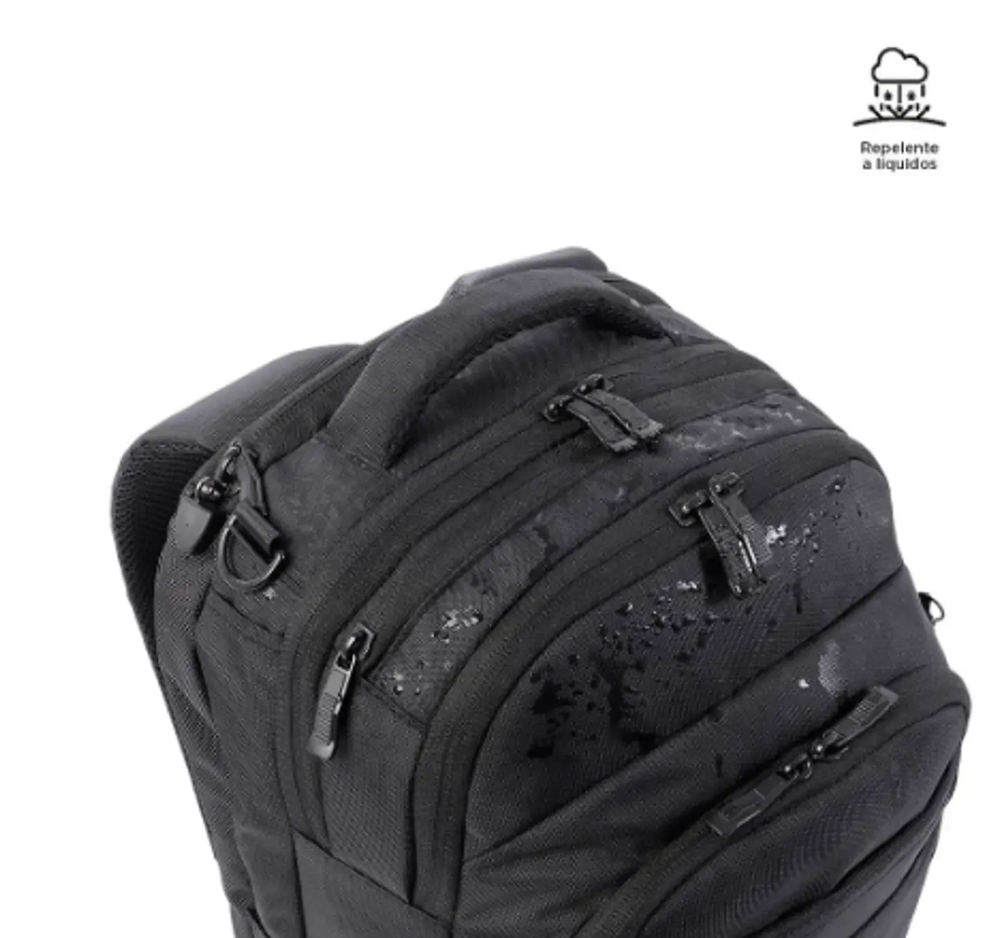 Morral Commuter 5