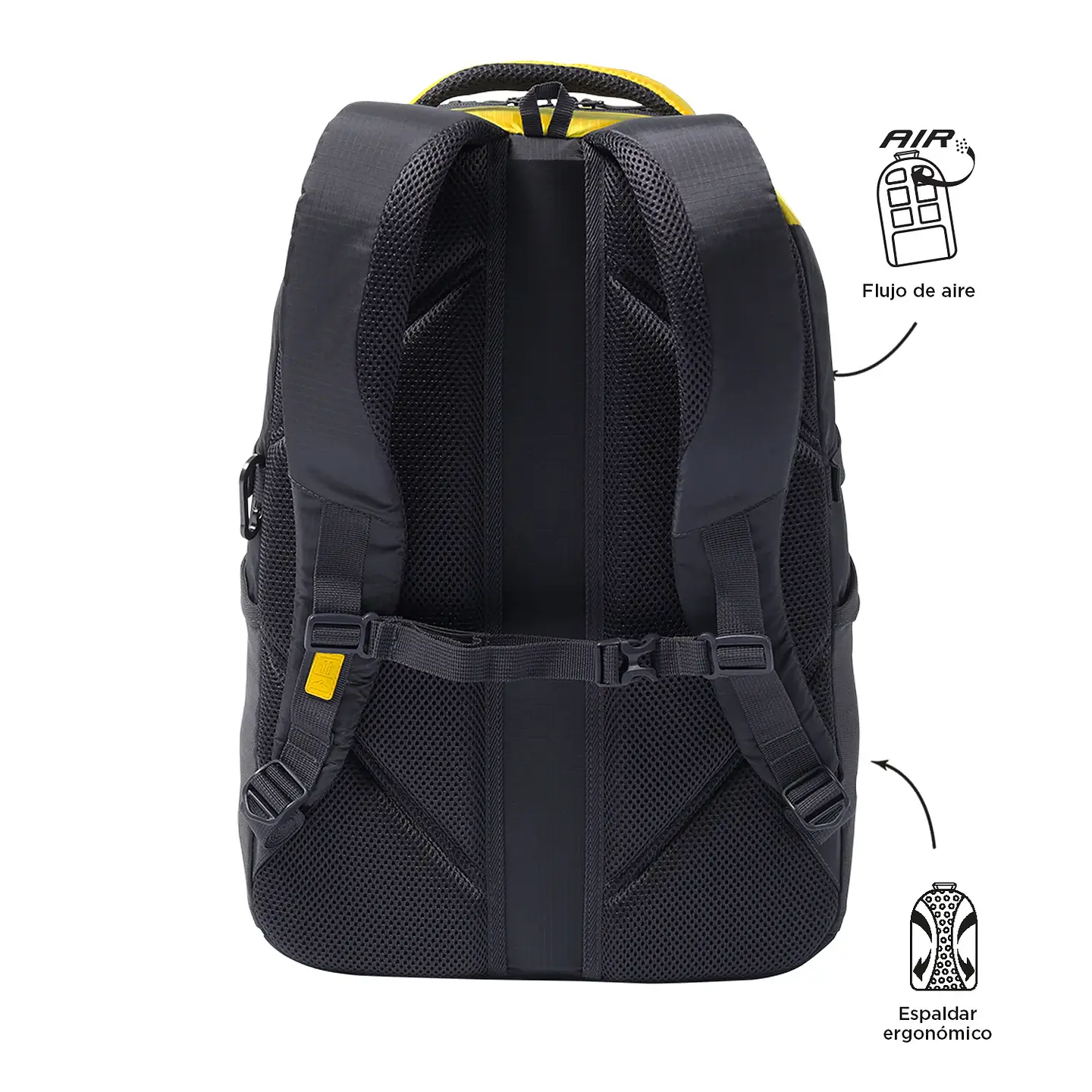 Morral Totto  Wildness 40 3