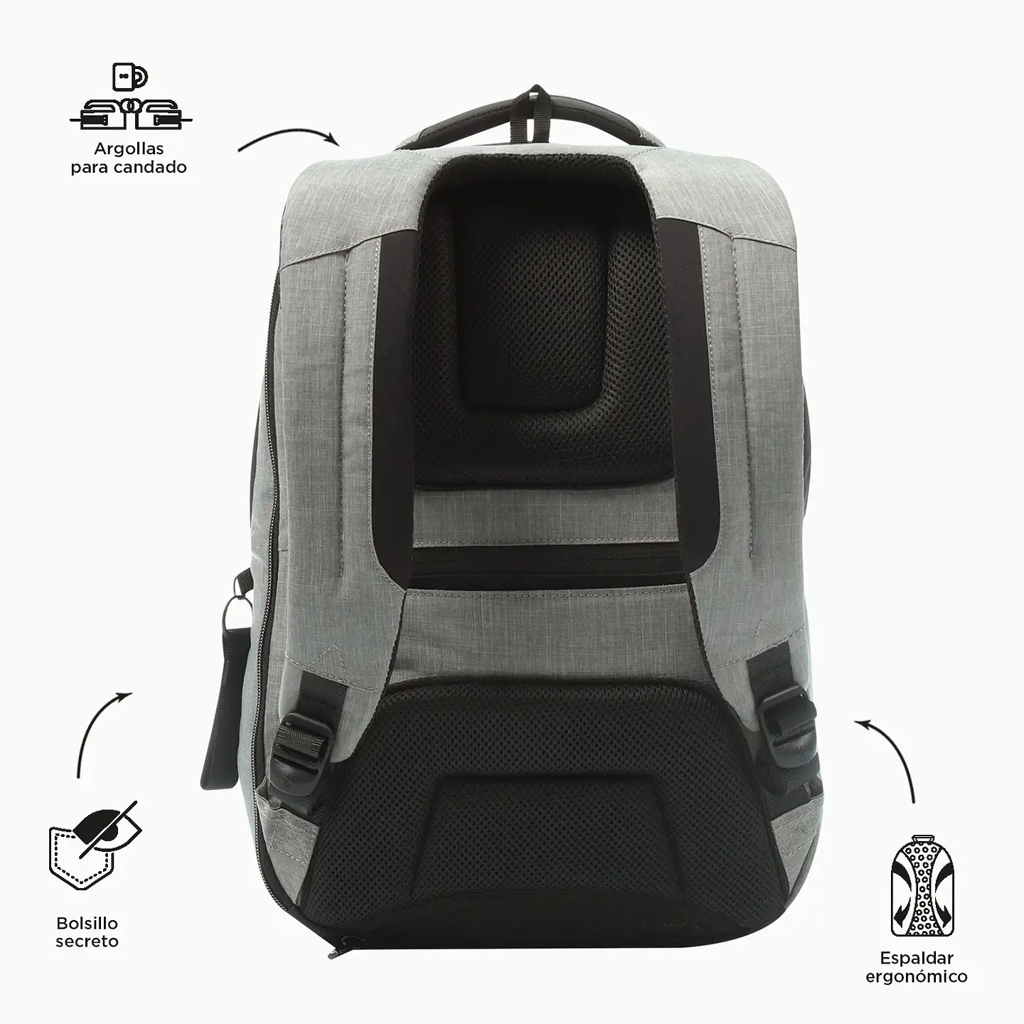  Morral Totto  Hexa L 8