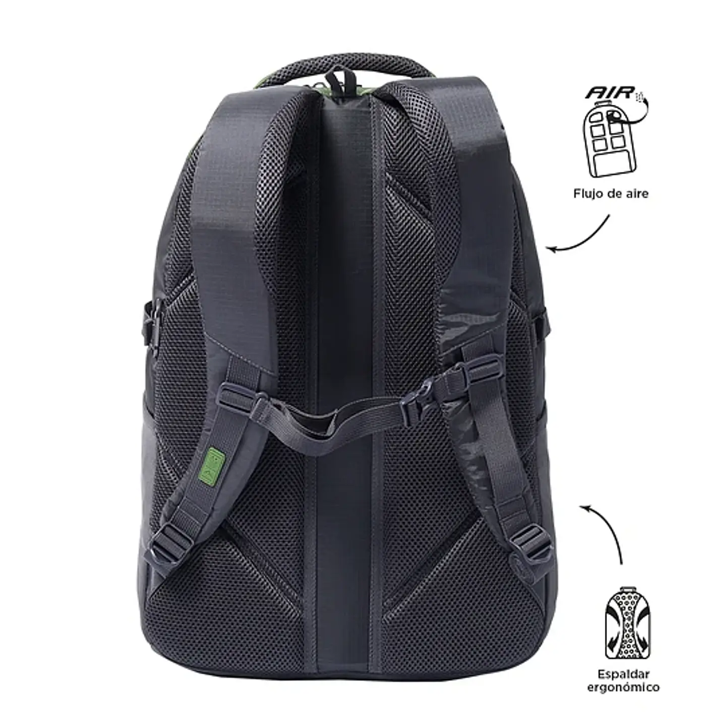 Morral Totto  Wildness 40 8