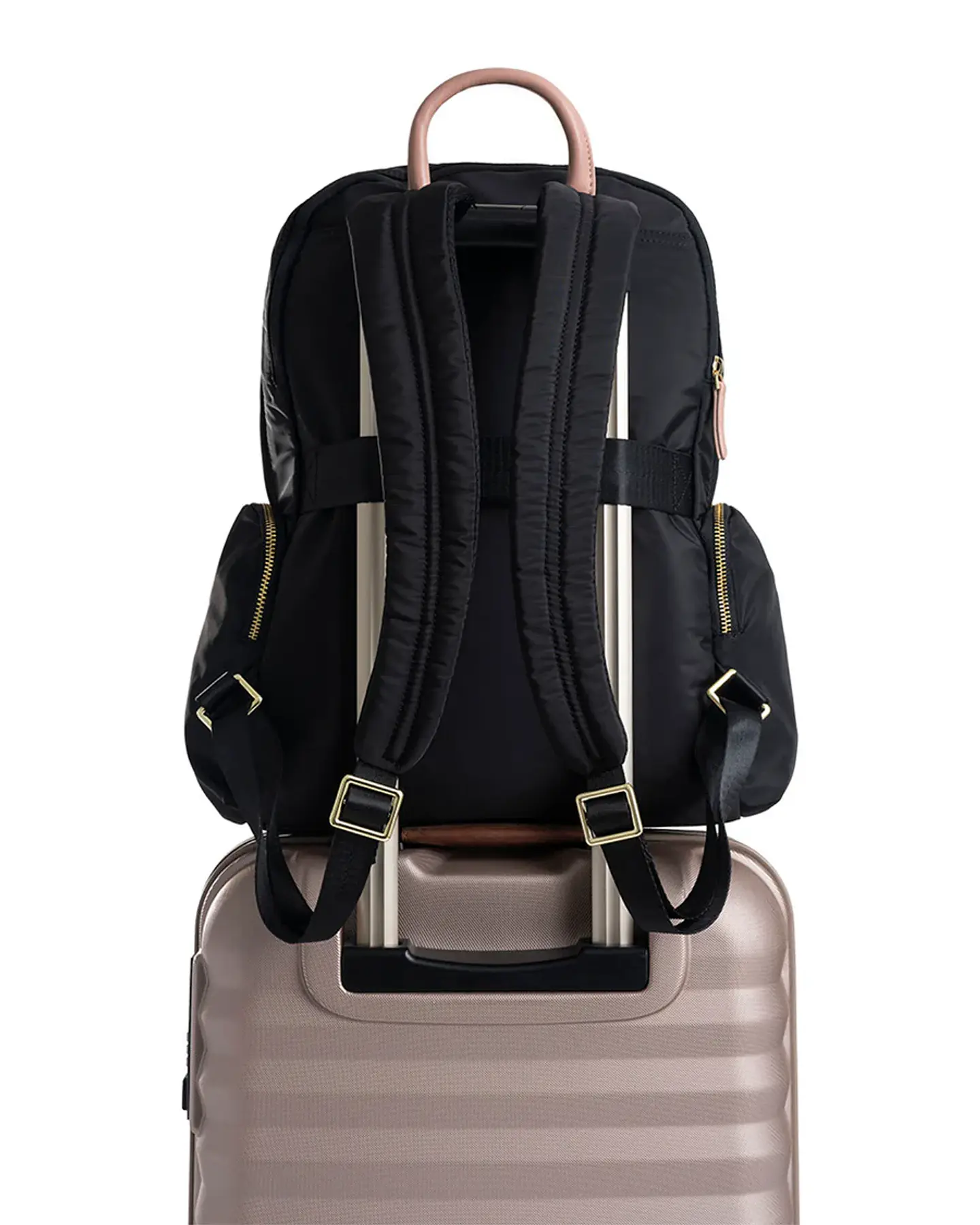 Morral Nappa Charlotte LDS  2