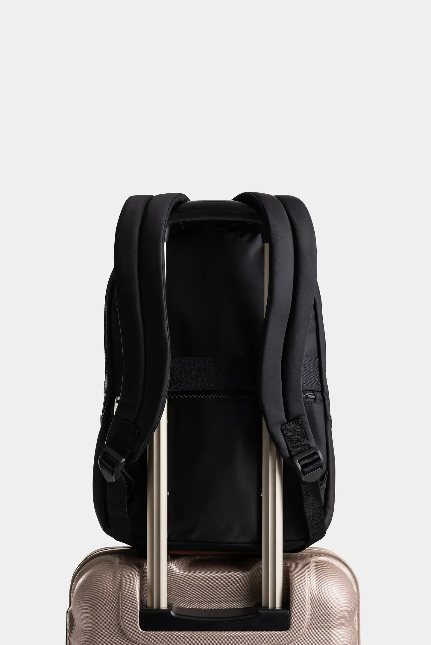 Morral Velez Purpura 5
