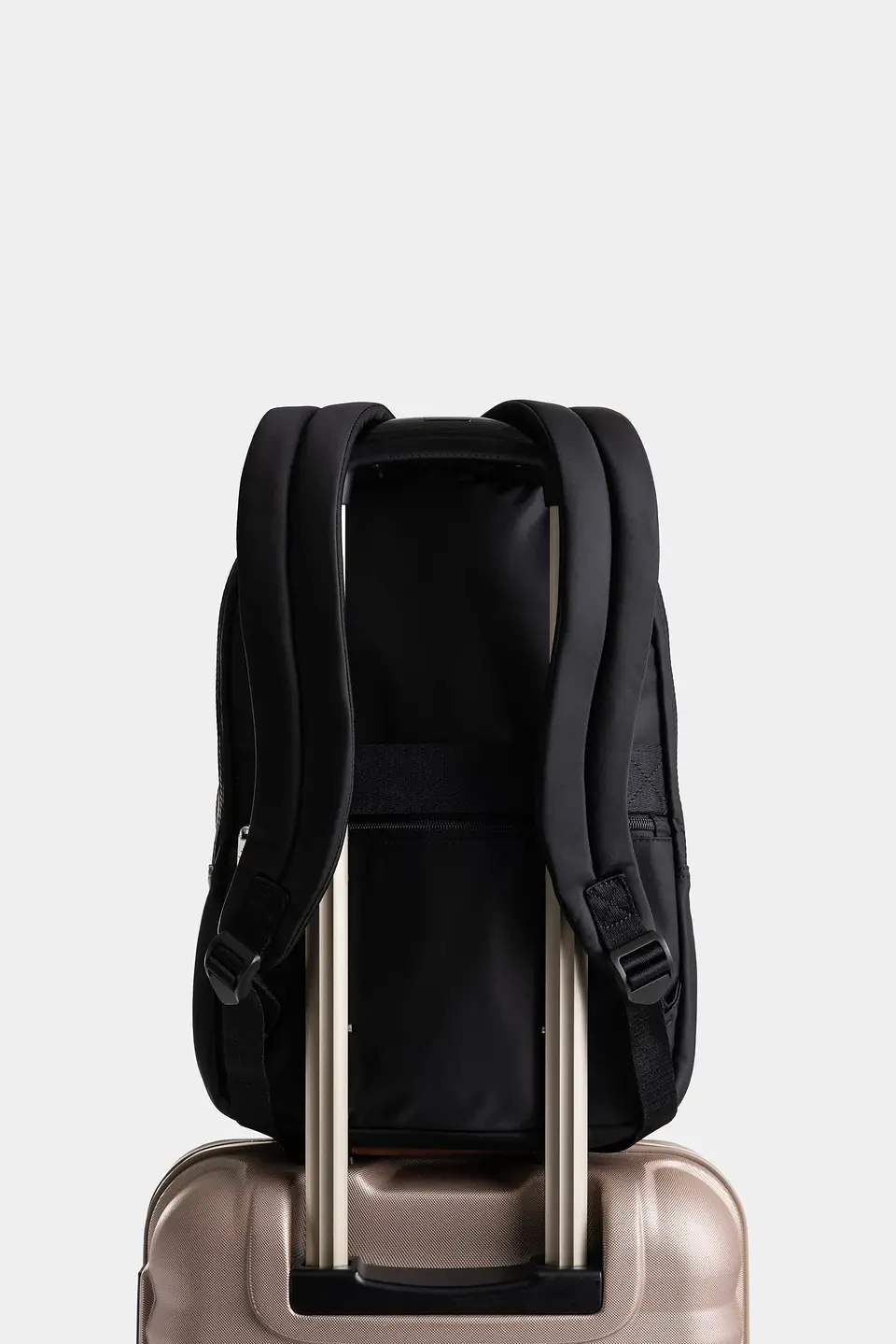 Morral Velez Purpura 5