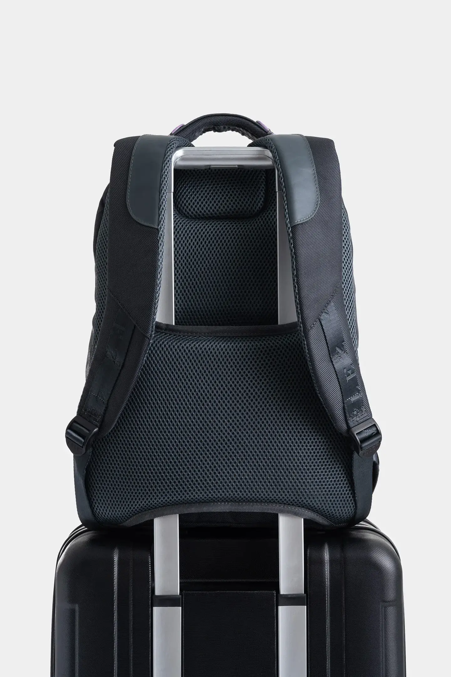 MORRAL VELEZ LIVING 2 CURADOR 3